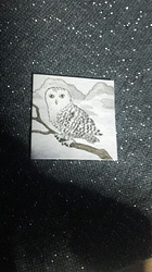 20191222_070410_resized