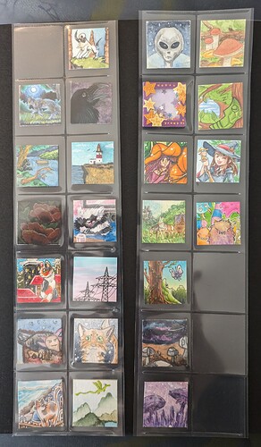 PXL_20231229_115213110~2