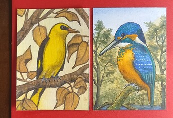 IMG_20230528_101707__01