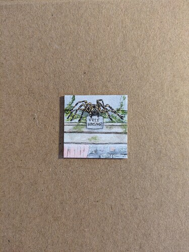 PXL_20250112_080748046