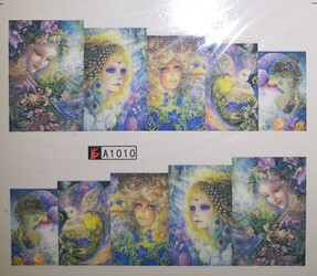 IMG_20241218_194531_edit_229893883920649