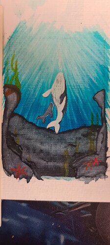 17379288665065031256673559888718