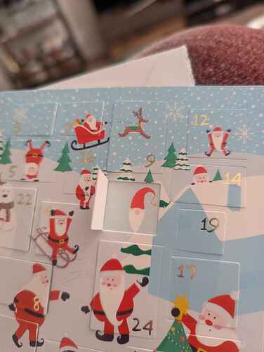 PXL_20241201_085347573