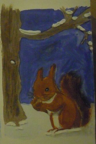 Winter-Eichhörnchen