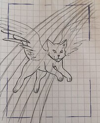 IMG_20250504_155330_edit_18772432313801