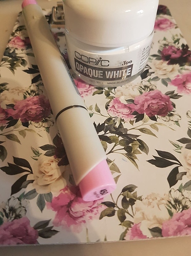 131929829_1306204766408576_3884189219730537943_n