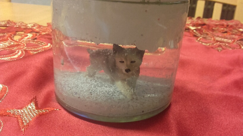 20191201_075819_resized