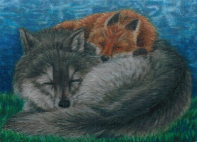 4594bb6c02c6c23a9fc3e7d0cf5fb4a6