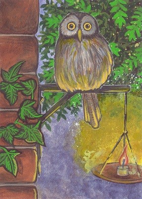 cb15379bf1bdddb55e41513951244308