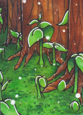 Kakao-Karte 21 (Energiewald)