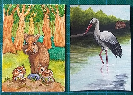 WaPa Heimische Tierarten