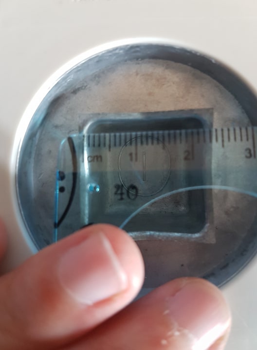 115970535_282660959476011_658732722069760759_n