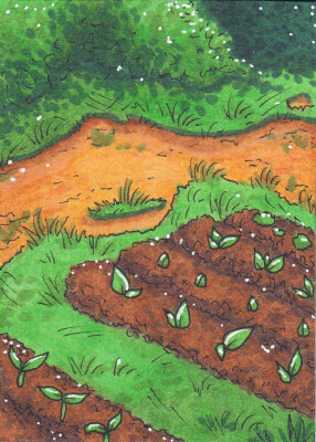 Kakao-Karte 33 (Partnerfarm)