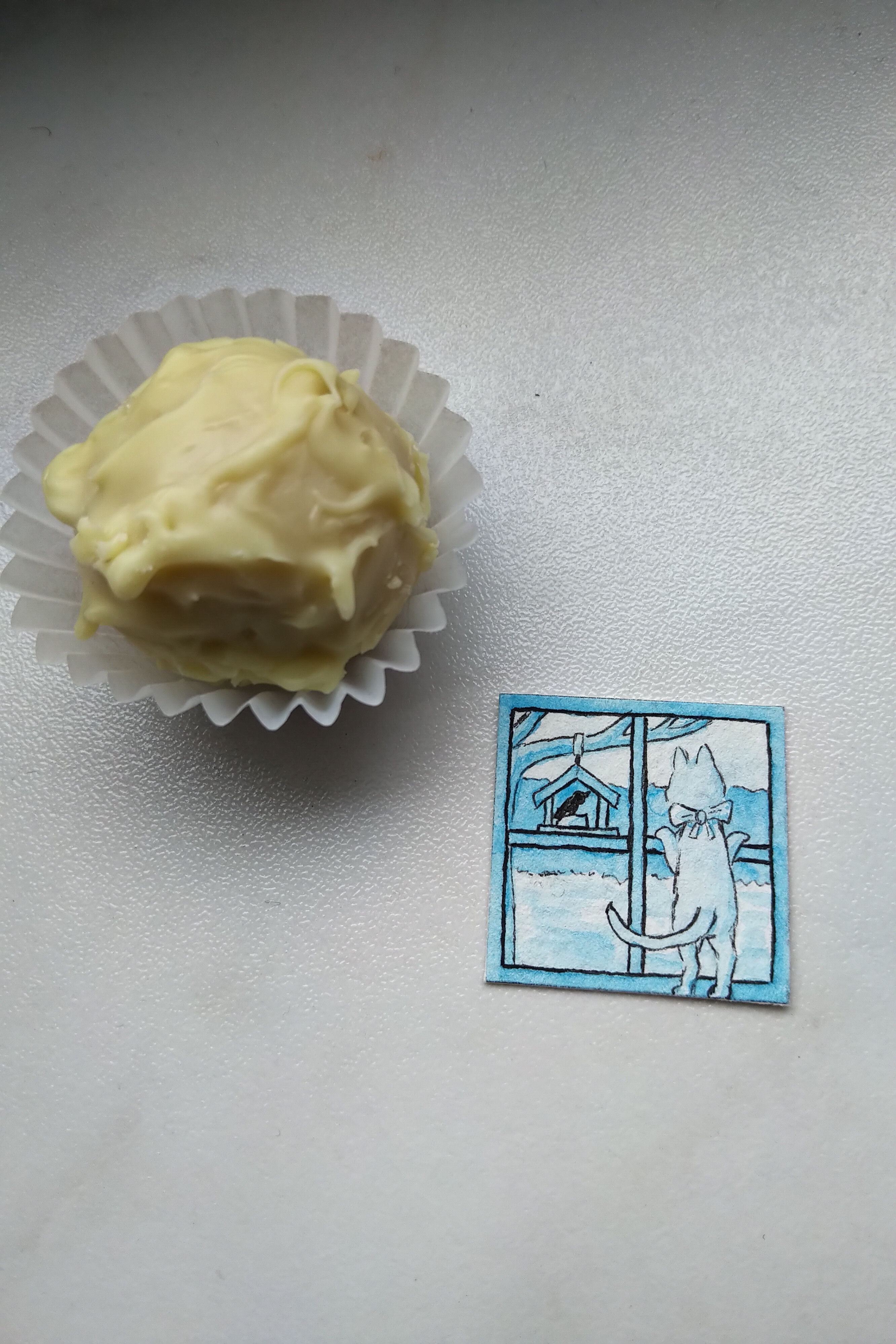 IMG_20241210_1321180