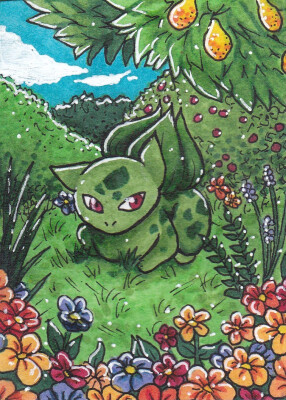 Kakao-Karte 41 (Im Paradies)