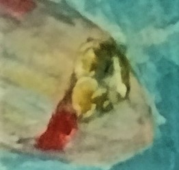 IMG_20220612_153432470 (2)