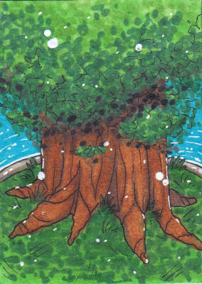 Kakao-Karte 35 (Gemmenbaum)