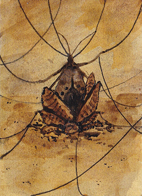 KaKao-Karte_01_-_Das_Puppenwesen