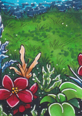 Kakao-Karte 19 (Dschungel)