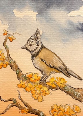 4735bcdd051c998c86af027c39c54af7