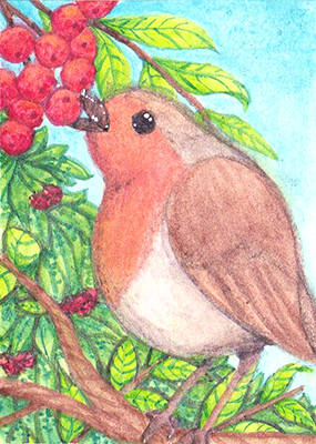 Kakao-Karte 12 - Das Rotkehlchen