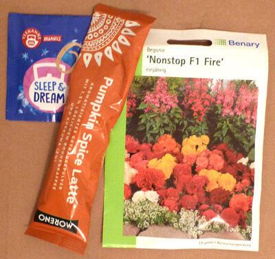 06 Begoniensamen