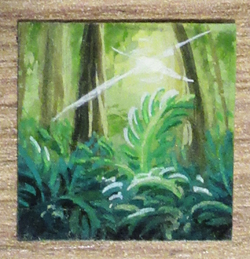 Delight_06_von-Solacira