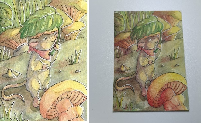 72c5fe76465267365768437bd45b4584