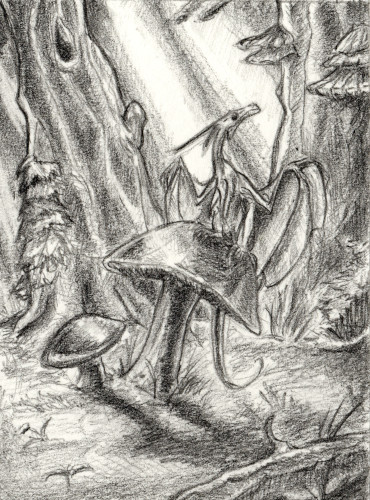 Karte 216 Drachenpilz