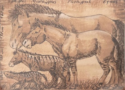 a8b94fc960c2343568bf885d7cdb73ab