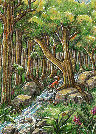 #517 der Waldbach-TWK-128dpi-3 copy