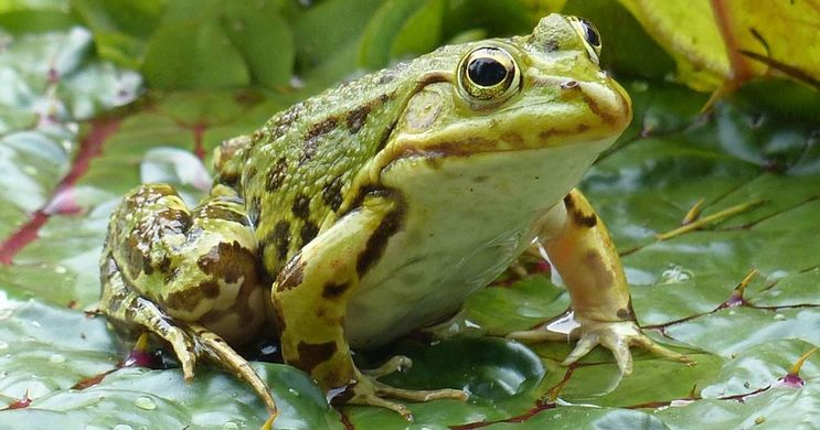 w1200_h630_x732_y415_d6d703b29845e07a