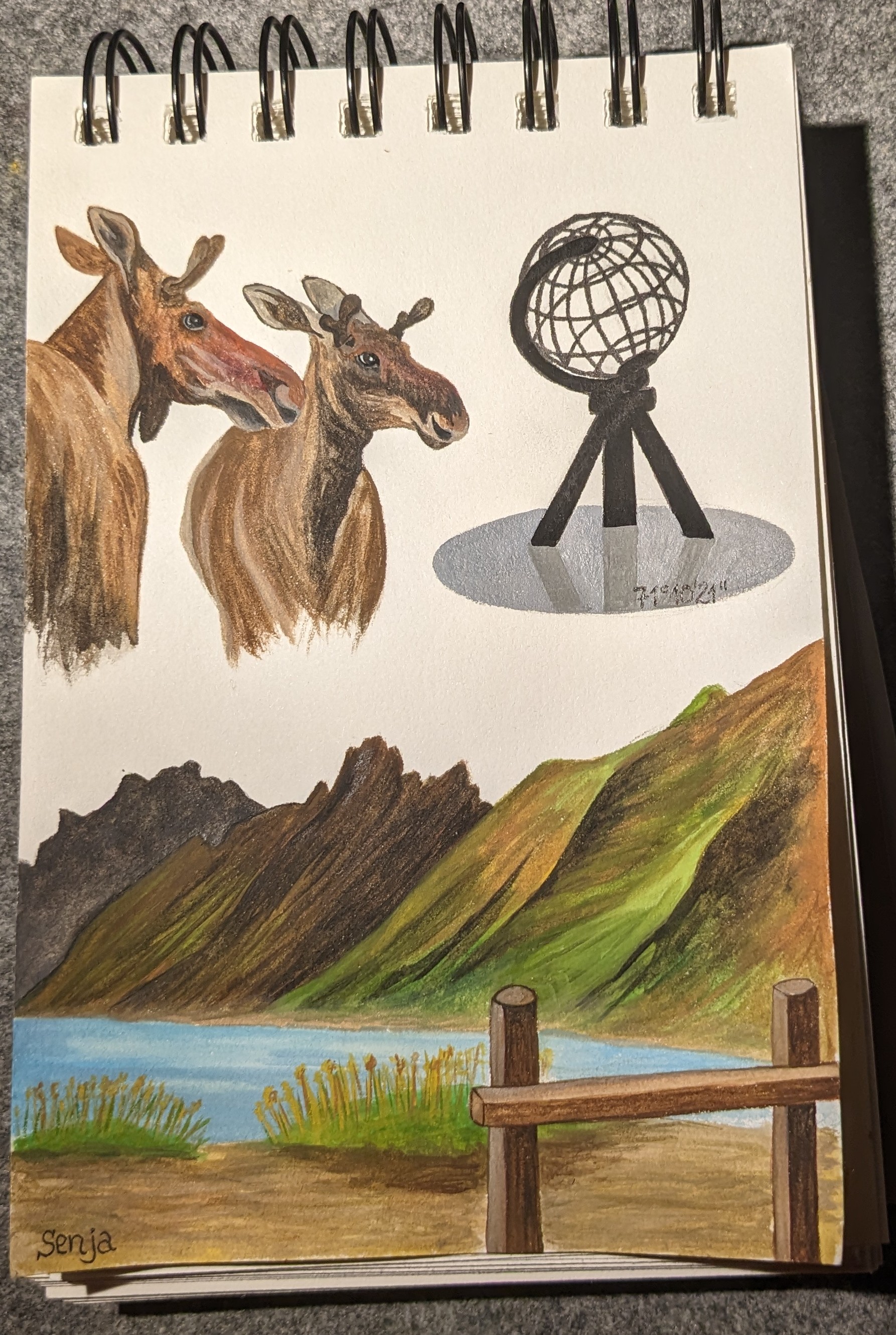 PXL_20240107_184922410