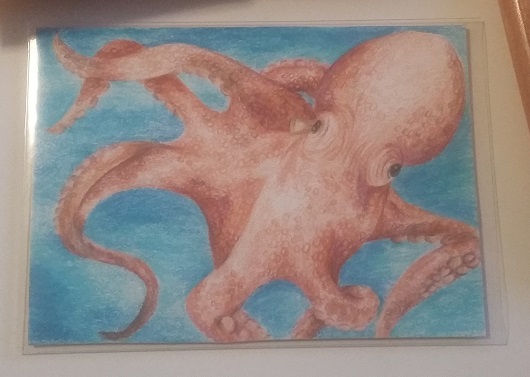Oktopus