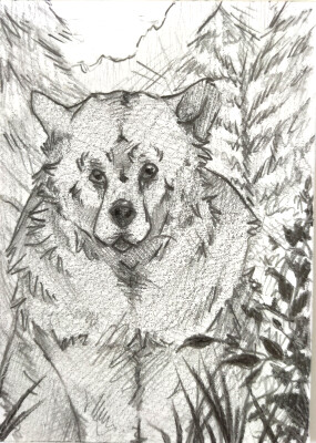 Karte - Grizzly Schnizzly